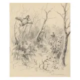 Woodcock Shooting by Roland Clark, Pencil sketch on paper, sold Mar 2023