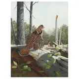 Ruffed Grouse by A. J. Rudisill, Acrylic on illustration board, sold Mar 2023