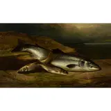 Salmon and Trout on the Shore by Henry Leonidas Rolfe, 1874, oil on canvas, sold Jul 2025