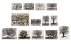 Thirteen Tree Studies by Domenick Capobianco, Ink on Paper, sold Aug 2026