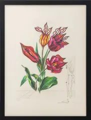 Tulipa Crudeliter Basiantes" [Tulips Cruelly Kissing] by Salvador Dalí, 1972, Etching and Heliogravure in Colors on Arches Paper, sold Aug 2026