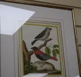 Colour print by Francois-Nicholas Martinet, print, sold Dec 2019