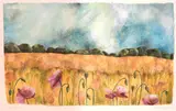 Poppies in the Meadow by Caroline Lingwood, Pencil, sold Feb 2021