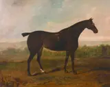 A Black Hunter in a Field by David Dalby, oil on canvas, sold Feb 2021