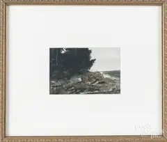 landscape by Peter Willard, watercolor, offered Jul 2017