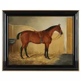 Portrait of a Saddled Bay Horse by J... Quinton, Oil on canvas (lined), sold Feb 2023