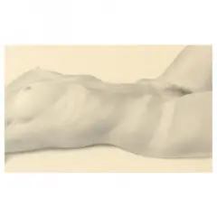 Supine Torso by Martha Mayer Erlebacher, Pencil on paper, sold Feb 2023