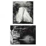Two Photographs of Vermont by Lewis Downey, Each a gelatin silver print, sold Jan 2023
