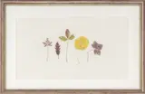 Five Small Leaves by Beverly Duncan, 2001, Watercolor on Paper, sold Sep 2026