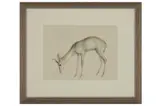 Untitled by John Skeaping, lithograph, offered Aug 2021