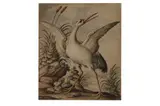 Untitled by John Collett, Watercolour on laid paper, offered Jul 2021
