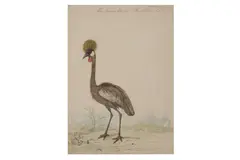 Untitled by Edward Jones, Watercolour and bodycolour, offered Jul 2021