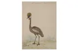 Untitled by Edward Jones, Watercolour and bodycolour, offered Jul 2021