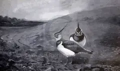 Untitled by Archibald Thorburn, watercolour and gouache, sold Dec 2019
