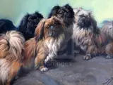The Family'; four Pekinese dogs signed 24 x 31in by Fannie Moody, pastel, sold Dec 2019
