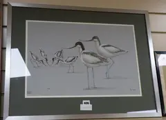 Avocets by Richard Joicey, pastel, sold Dec 2019