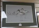 Avocets by Richard Joicey, pastel, sold Dec 2019