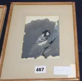 Coal Tit, 16 x 11cm by Archibald Thorburn, watercolour, sold Oct 2019