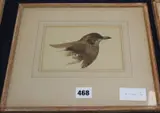 Young Blackbird by Archibald Thorburn, watercolour, sold Oct 2019