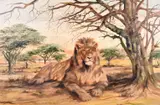 British, A resting lion on a savannah landscape by Major Edward Byrne, oil on canvas, offered Jan 2021
