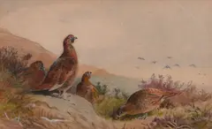 Grouse in a Highland Landscape by Archibald Thorburn, Watercolour & Pencil, sold Jan 2021