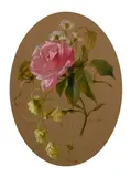 Swiss by Maria Teresa Hegg, Watercolour and Bodycolour, offered Jan 2021