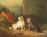 British, An interior scene with two alert terriers ratting by George Armfield, oil on canvas, sold Dec 2020