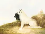 British, Terriers resting in a coastal landscape by W. Warren, oil on canvas, offered Dec 2020