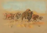 Bison on the Plains by Raymond John Vandenbergh, pastel, sold Dec 2020