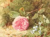 British, A study of a rose in bloom in a naturalistic setting by Harrold Sutton Palmer, watercolour, sold Dec 2020