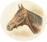 Seventh Bride by Madeline Selfe, pencil, sold Dec 2020