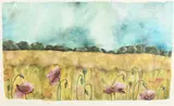 Poppies in the Meadow by Caroline Lingwood, Pencil, offered Nov 2020