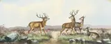 British, a pair of oil on board scenes of deer in a landscape by Alfred Worthington, oil on board, offered Nov 2020