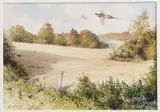 works of game birds in flight by Owen Williams, watercolor, offered May 2017