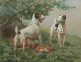 Les fox terrier à poil dur. La prise du renard by Georges Louis Charles Busson, Aquarelle et gouache sur papier signée en bas à droite et encadrée, sold Sep 2020