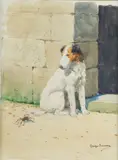 Fox et araignée by Georges Louis Charles Busson, Aquarelle sur papier signée en bas à droite et encadrée, sold Sep 2020
