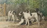 Chiens de Saintonge au repos by Charles Olivier de Penne, Aquarelle sur papier signée en bas à gauche et encadrée, sold Sep 2020