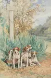 Les chiens de relais Anglo Français by Charles Olivier de Penne, Aquarelle sur papier signée en bas droite et encadrée, sold Sep 2020