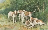 Les chiens Français Blanc Orange au repos by Charles Olivier de Penne, Aquarelle sur papier signée en bas à gauche et encadrée, sold Sep 2020