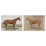 A Pair of Thoroughbred Portraits by Harry Lyman, Each is pastel on paper, sold Dec 2022