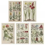 Five Floral Engravings from Florilegium by Emanuel Sweert, Hand-colored engravings, sold Dec 2022