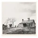 House with Bottle Trees by Eudora Welty, 1941, Gelatin silver print (mounted as issued), sold Dec 2022