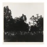 Abandoned "Lunatic Asylum," 1940 by Eudora Welty, Gelatin silver print (mounted as issued), sold Dec 2022