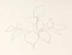 Woodland Plant by Ellsworth Kelly, 1979, Lithograph on Arches Paper, sold Oct 2026