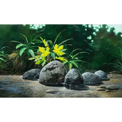 Aptos Stream by Stan Stokes, 1974, oil on canvas, sold Sep 2025