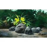 Aptos Stream by Stan Stokes, 1974, oil on canvas, sold Sep 2025