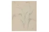 Untitled by Eliot Hodgkin, pencil, offered Jul 2021