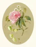 Swiss by Maria Teresa Hegg, Watercolour and Bodycolour, offered Nov 2020