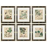 Six Plates from The Aurelian, A Natural History of English Moths and Butterflies by Moses Harris, Hand-colored engravings, sold Nov 2022