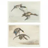 Two Prints of Ducks in Flight by Léon Danchin, Etching and aquatint in colors, sold Oct 2022